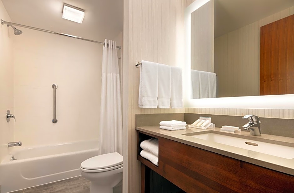 Hilton Garden Inn Long Island City