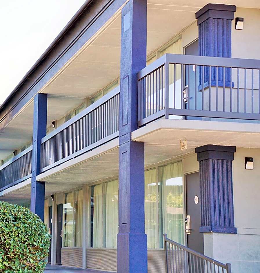 Hotel Elev8