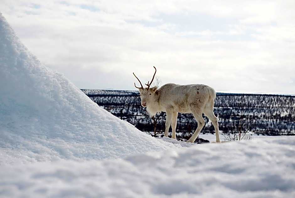 Thon Hotel Kautokeino