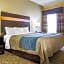 Comfort Inn & Suites At Stone Mountain