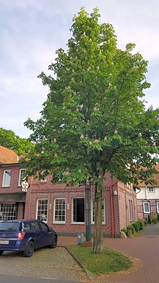 APROTOs Lüneburger Hof