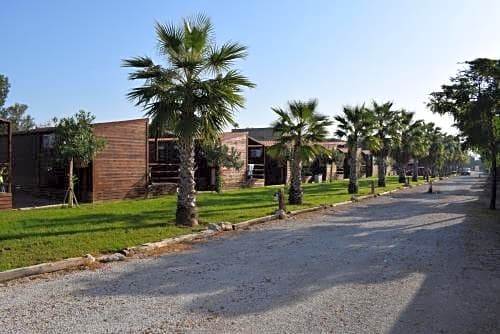 Bungalows Park Albufera