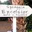 Hotel Excelsior