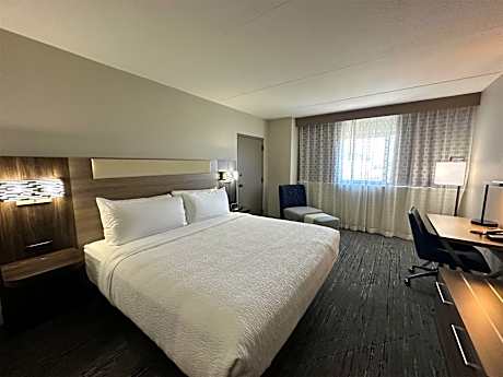 Suite-1 King Bed NSMK Larger Room Sofabed SittingArea Chair Ottoman Microwave Fridge Full Breakfast