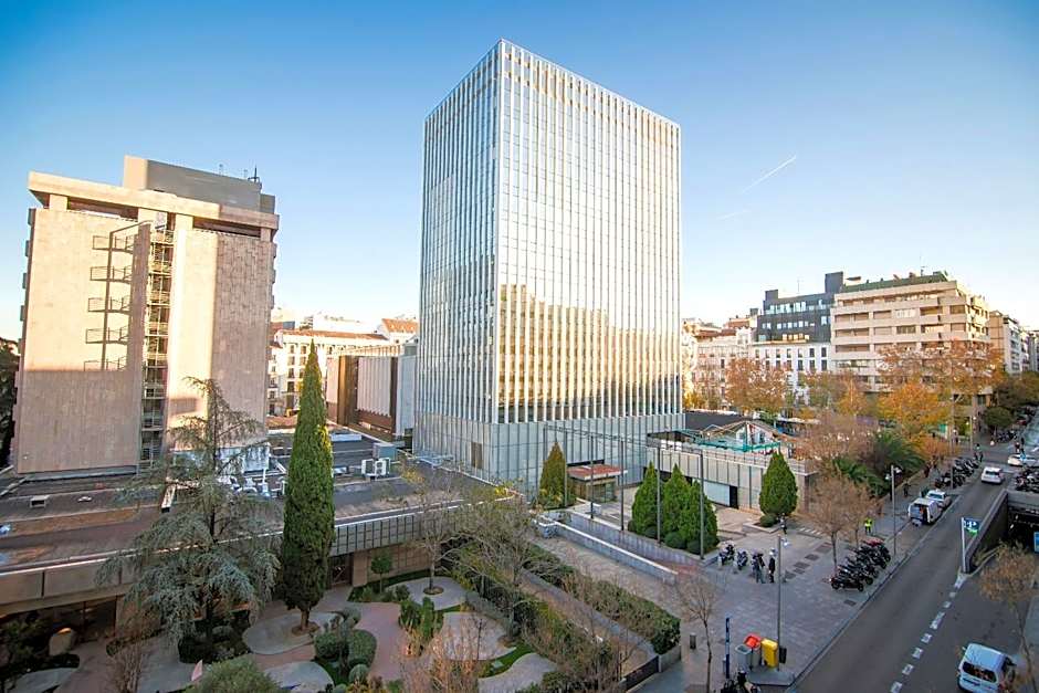 Petit Palace President Castellana