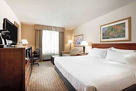 1 King Standard Sofa Bed