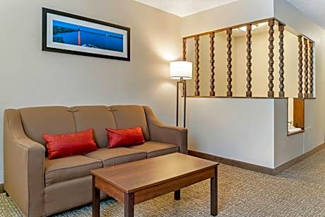 1 King Bed, Suite, Nonsmoking