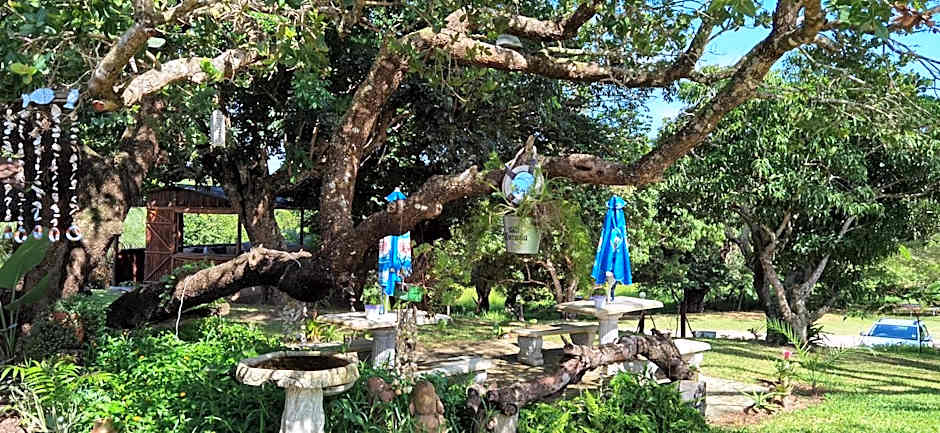 Kingfisher Bush Lodge
