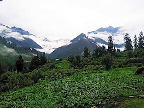 Zevibes Cafe & Guesthouse