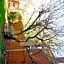 Ye Olde Walkerville Bed & Breakfast