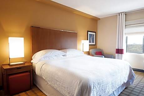 Larger Studio with King Bed