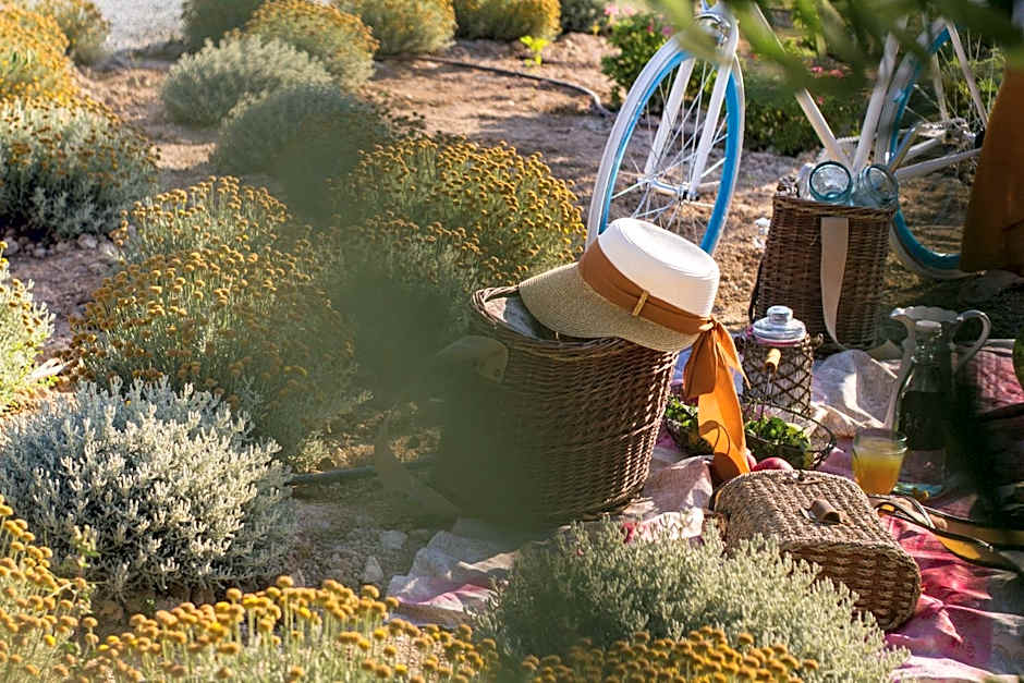 Aelia Wellness Retreat