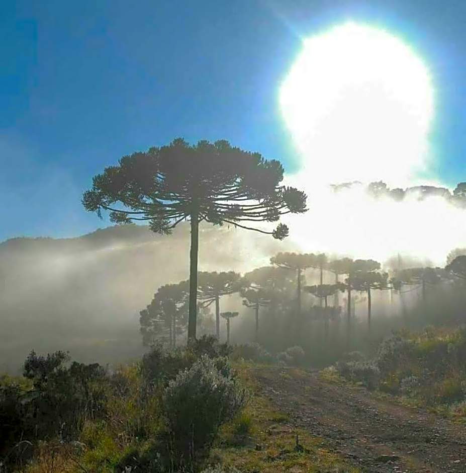 Paraíso Dos Cânions