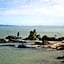 Dickson Holiday Park