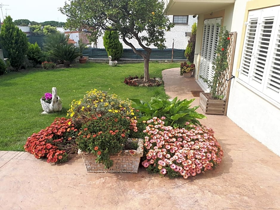 Bed and Breakfast Angolo Fiorito