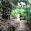 Dantica Cloud Forest Lodge