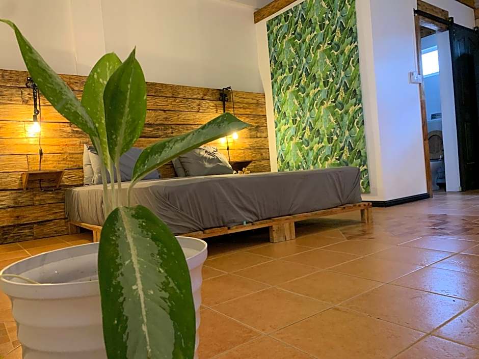 Bon Vivant Front de Mer - Ile Rodrigues