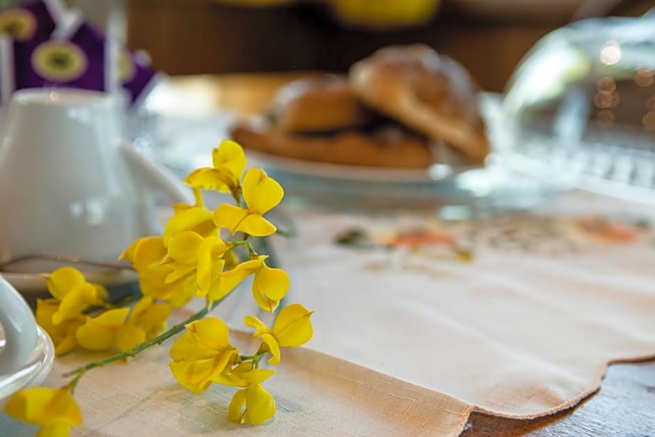 B&B Le Cinque Querce