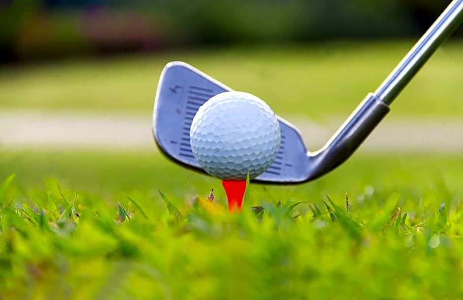 New Forest Lodges Bashley Park