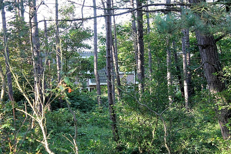 Hotel Studio Bosch Duin Strand