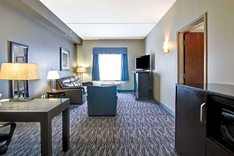 Suite-1 King Bed, Non-Smoking, Whirlpool, Fireplace, Sofabed, Microwave And Refrigerator, Full Break