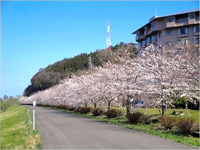 Hotel Kunitomi Annex