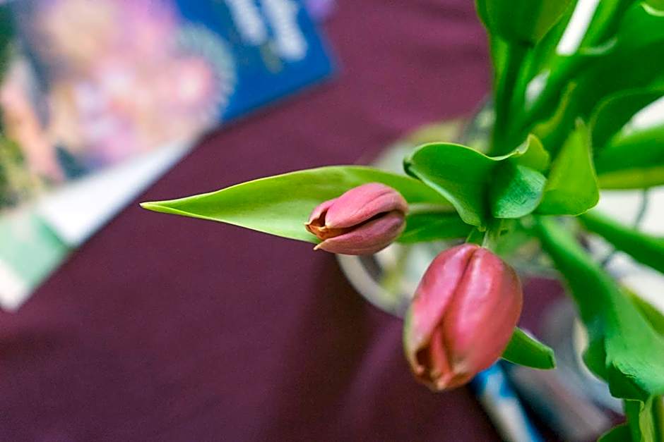 Strandpension Mäder