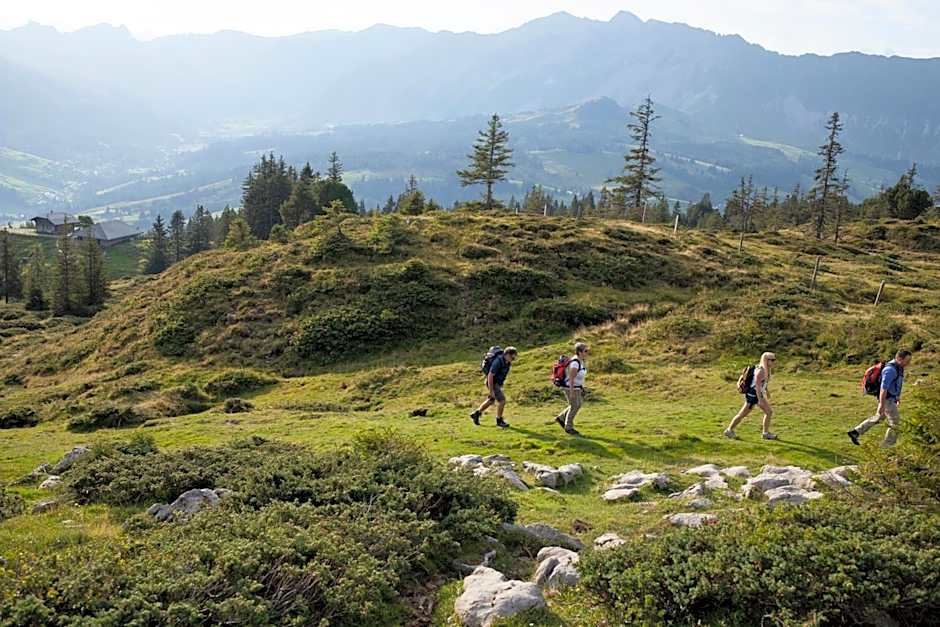 Bergwelten Salwideli