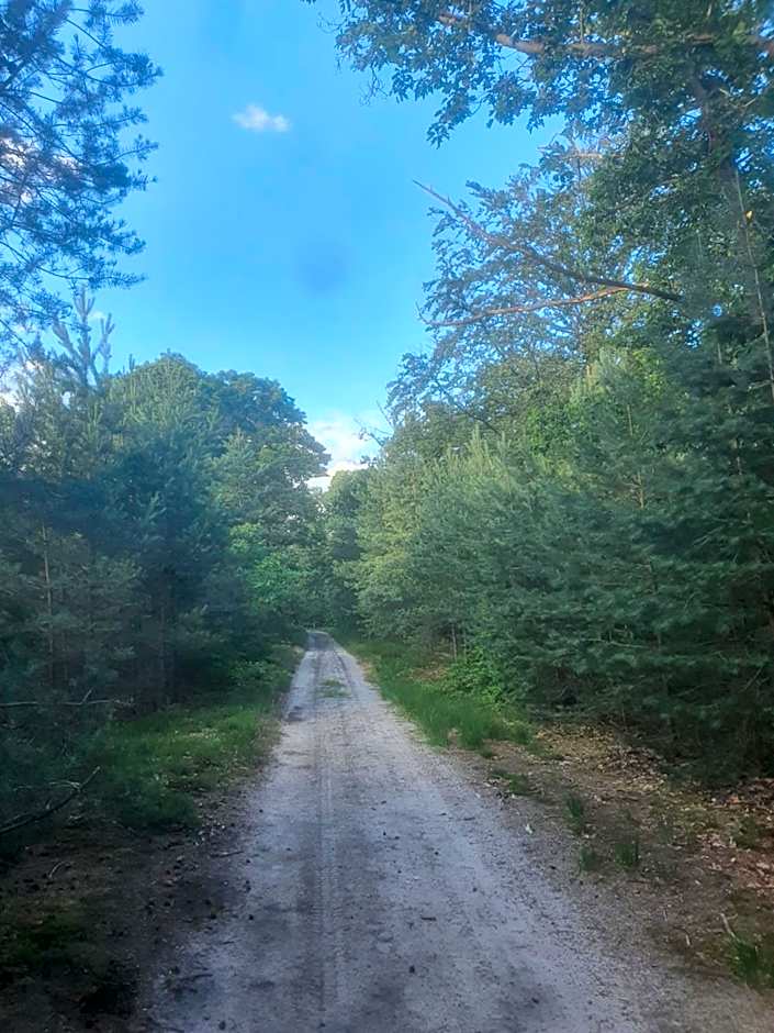 B&B Helene Hoeve