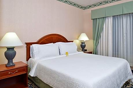 Junior King Suite with Sofa Bed