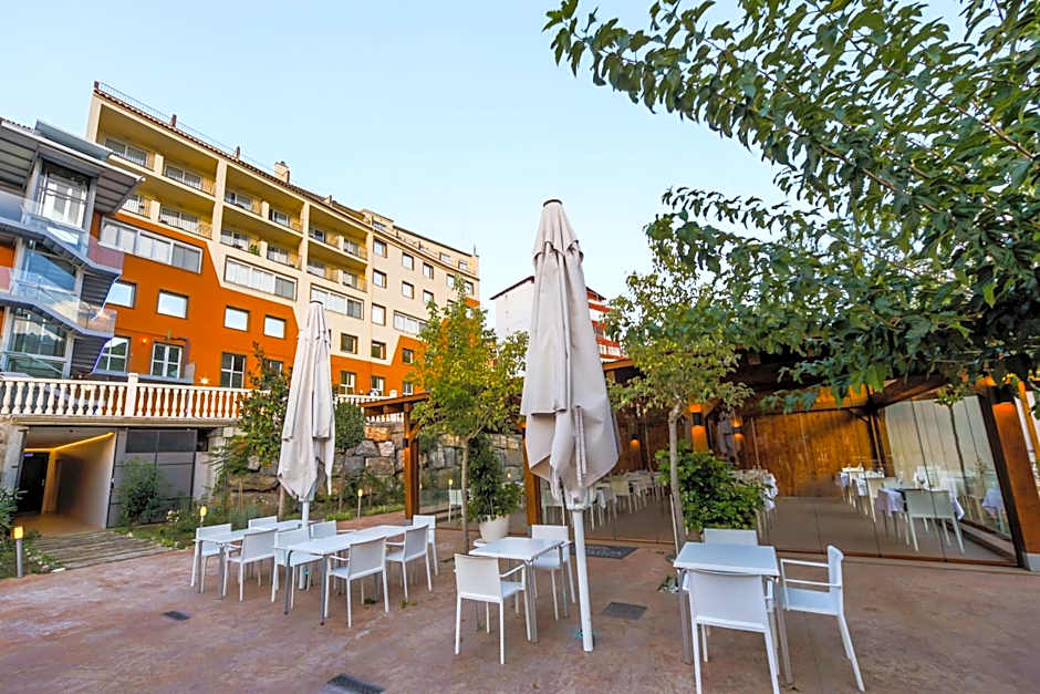 Hotel Rosaleda del Mijares