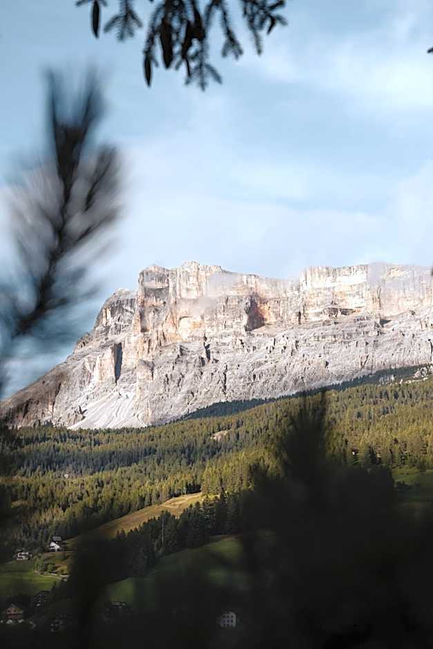 Sportony Mountain Lodges