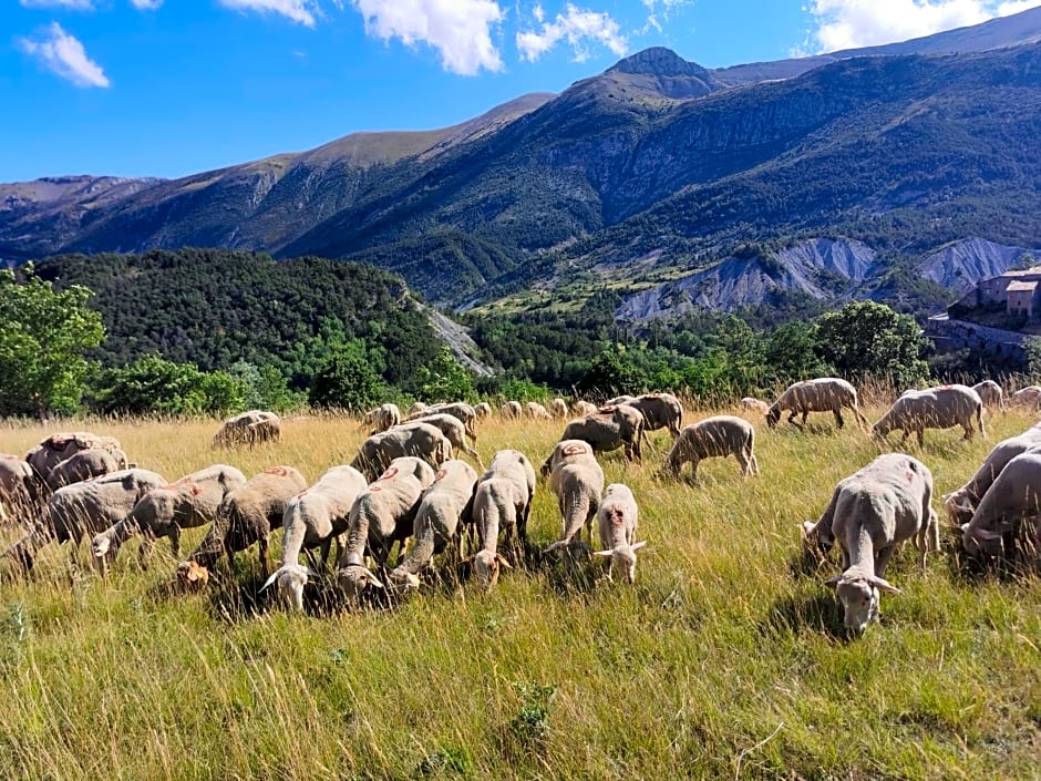 La Peyregoune, logement en pleine nature et table d'hôtes