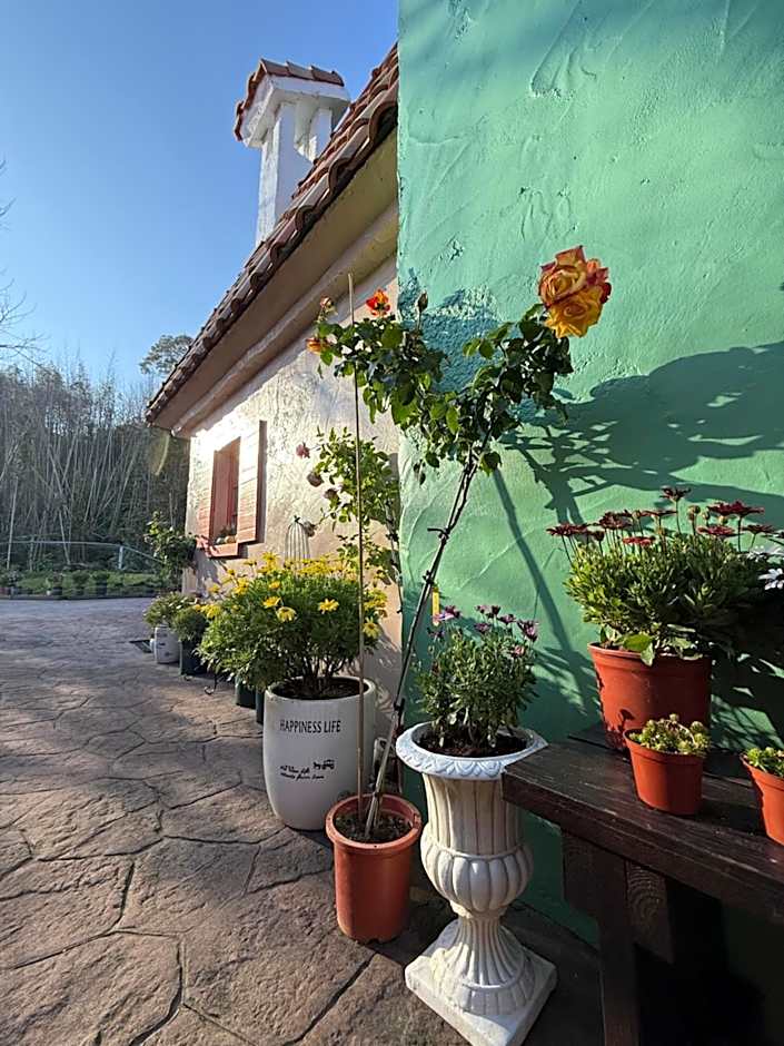 Alishan Tea Garden B&B