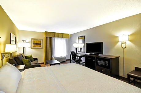 1 QN MOBILITY ACCESS ROLL IN SHOWER NOSMOK HDTV/WORK AREA FREE WI-FI/HOT BREAKFAST INCLUDED