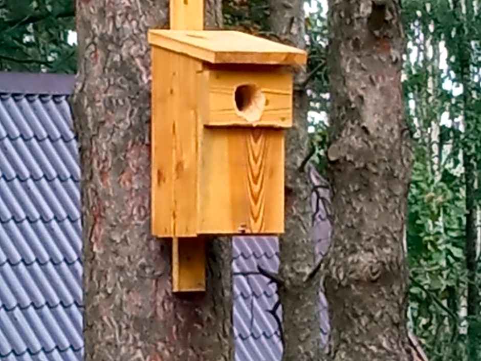 Domek na Mazurach Leśne Zacisze