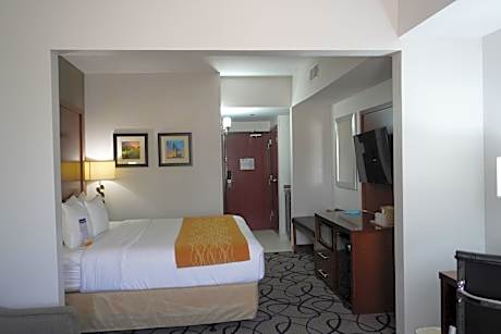 1 King Bed, Suite, Nonsmoking