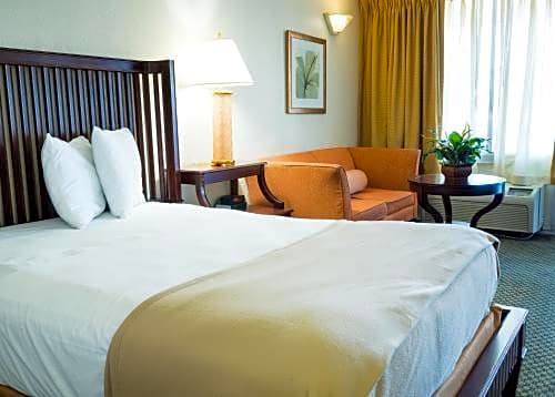 Vista Inn And Suites Tampa