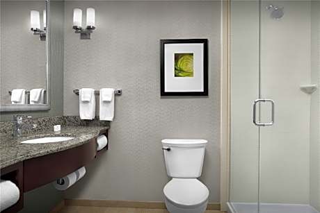 1 King Mobility/hearing Accessible Ri Shwr Vis Firealrm/door/phn Alrt- Comp Wifi Refrigerator-microw