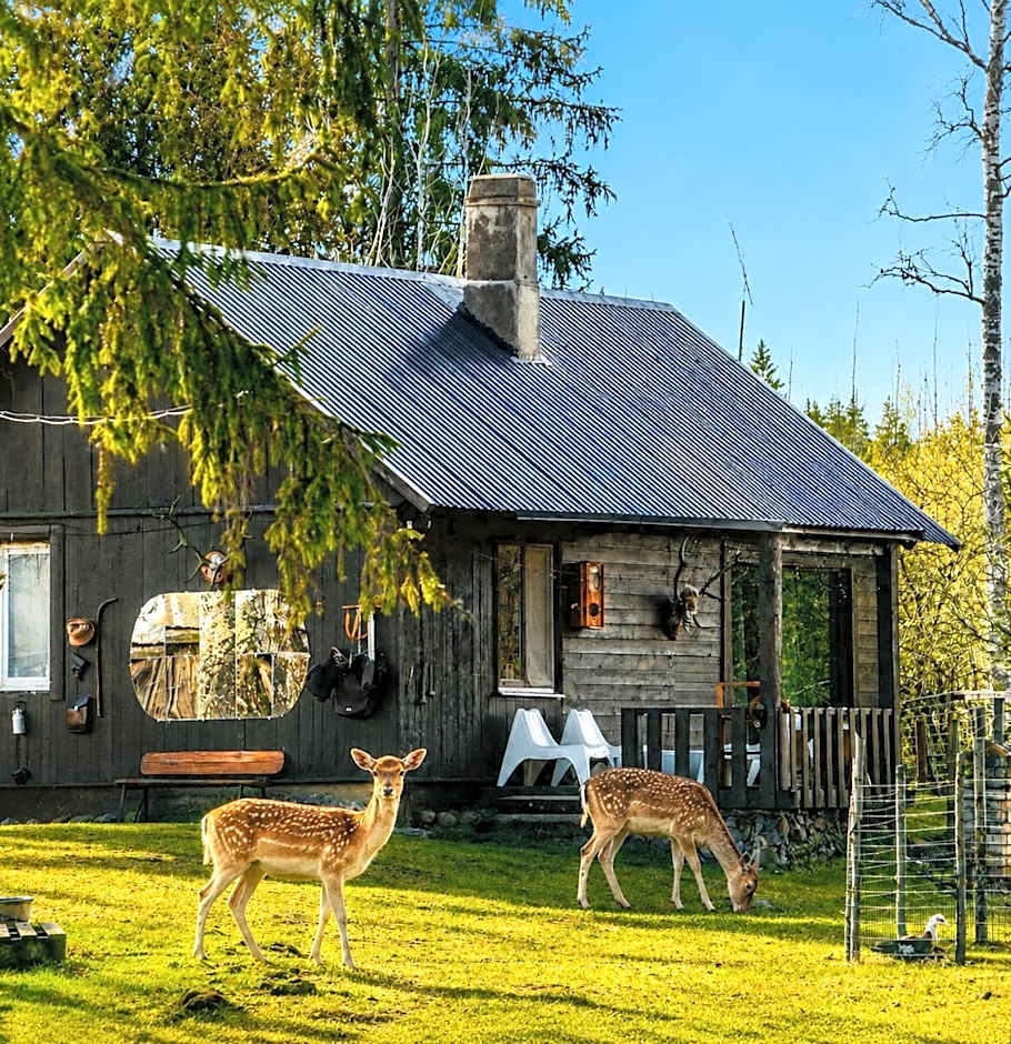 Lake Deer Park Retreat with Hot Tub & Sauna