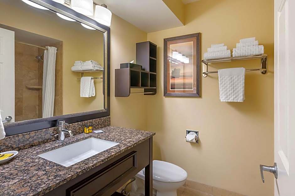 Best Western PLUS Cotton Tree Inn