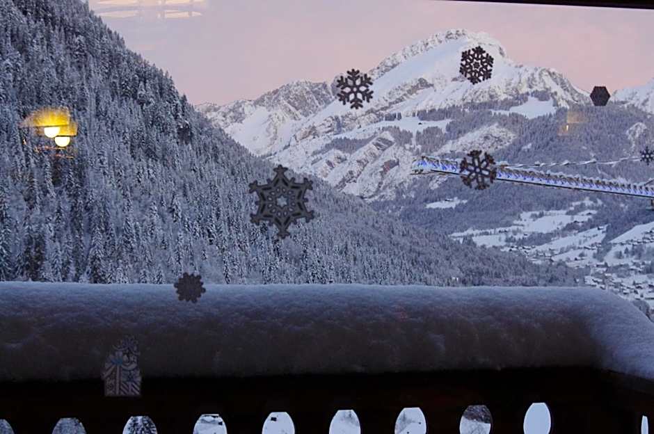 Central Hostel Chatel