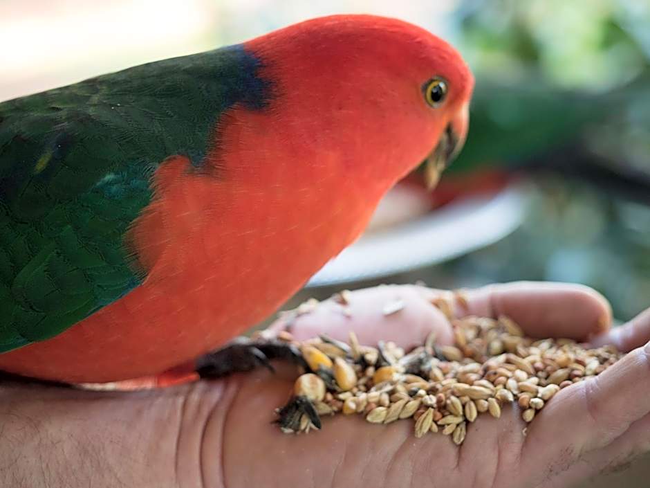 Glenview Retreat Luxury Accommodation