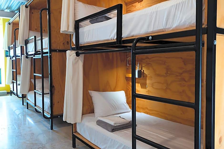 Mayan Monkey Hotel & Hostel Los Cabos