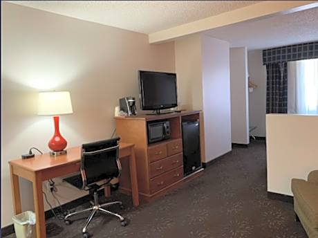 1 King Bed Studio Suite Non-Smoking