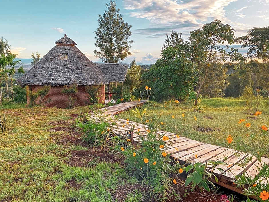 Foresight Eco Lodge & Safari