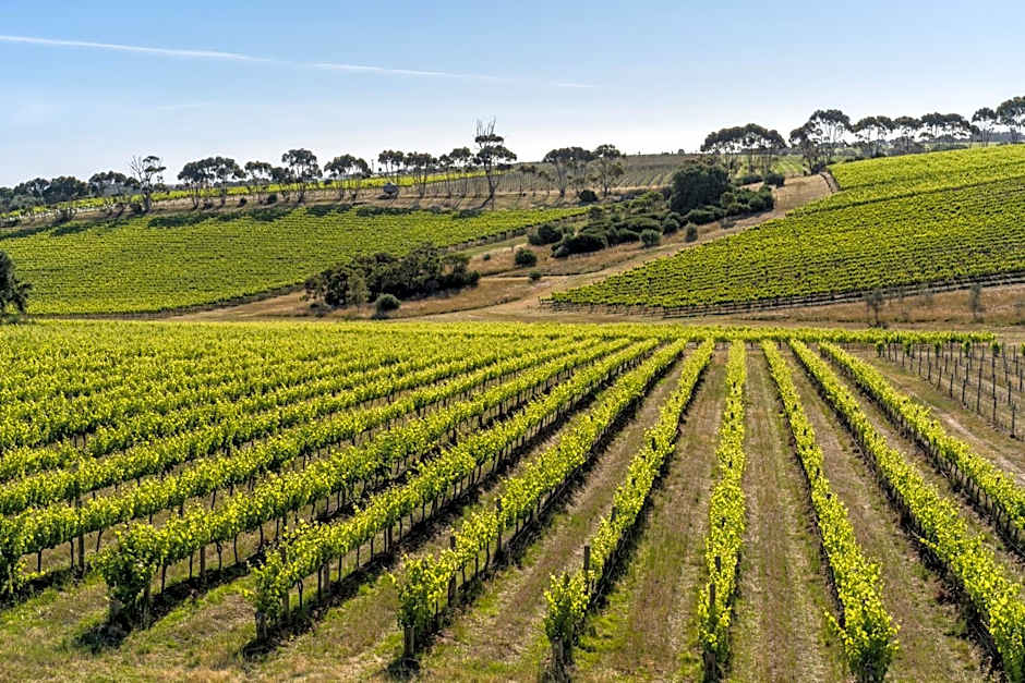 Hotel California Road at Inkwell Wines