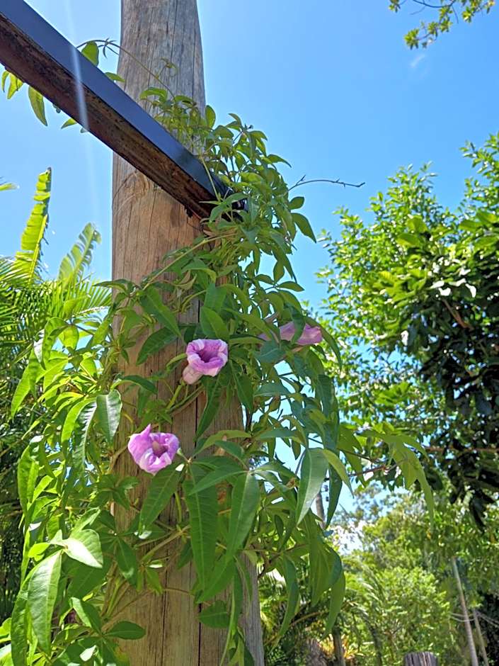 Mar Doce Lar Suítes Trindade