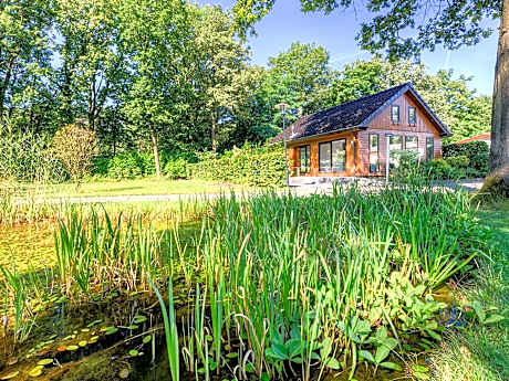 Comfortable holiday home on De Veluwe