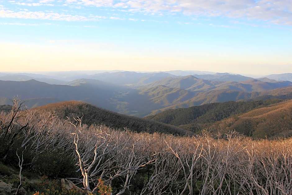 The Harrietville Snowline Hotel